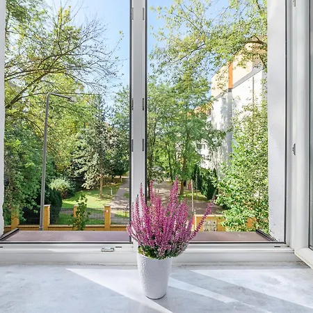 Lumina Comfort In Center 公寓