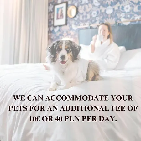 公寓 Lumina Comfort In Center 罗兹